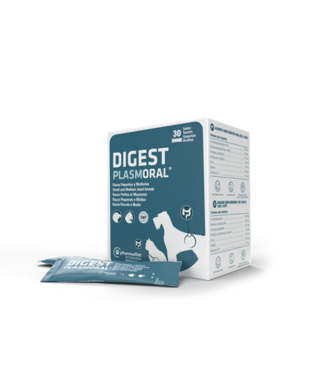 Plasmoral Digest raza pequeña y mediana