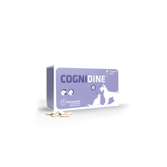 Cognidine