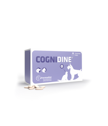 Cognidine