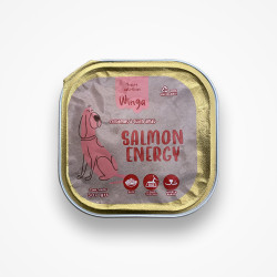 Winga Salmon energy