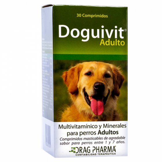 Doguivit Adulto
