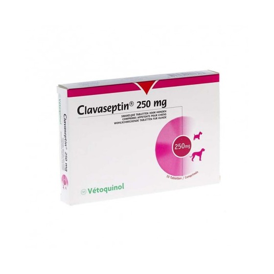 Clavaseptin 250 mg