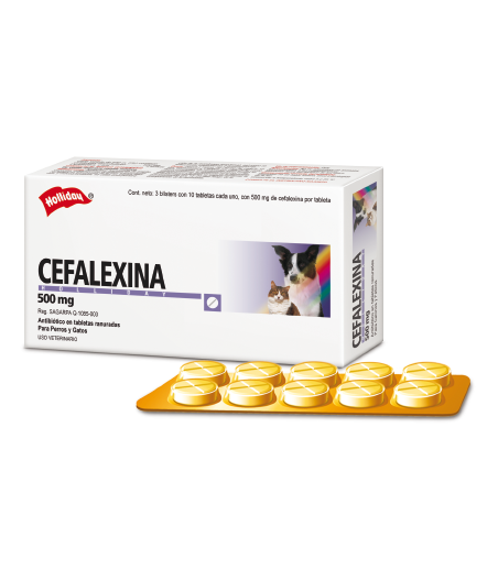 Cefalexina 500 mg de 10 comprimidos
