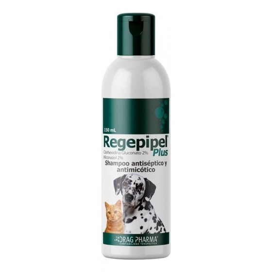Regepipel shampoo