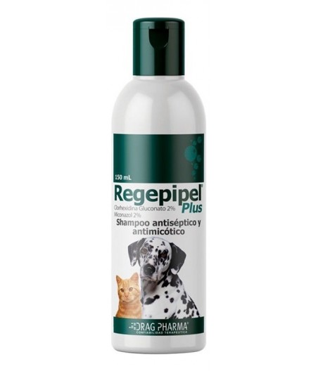 Regepipel shampoo