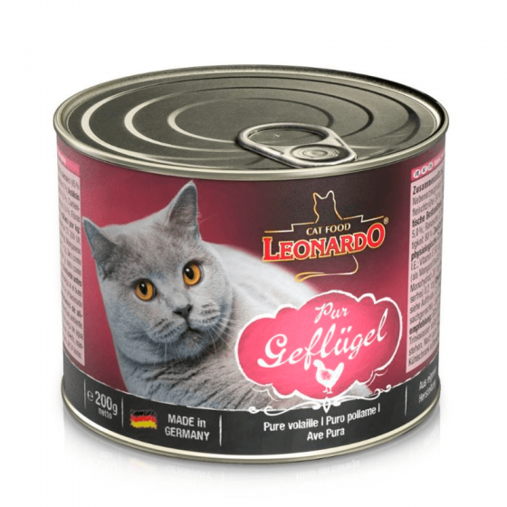 Leonardo lata quality pescado