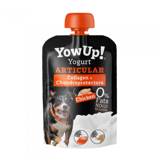 Yow Up! Yogurt Articular...